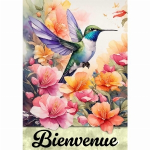 LUCIES Grand drapeau 28X40po Thème: Bienvenue Colibri