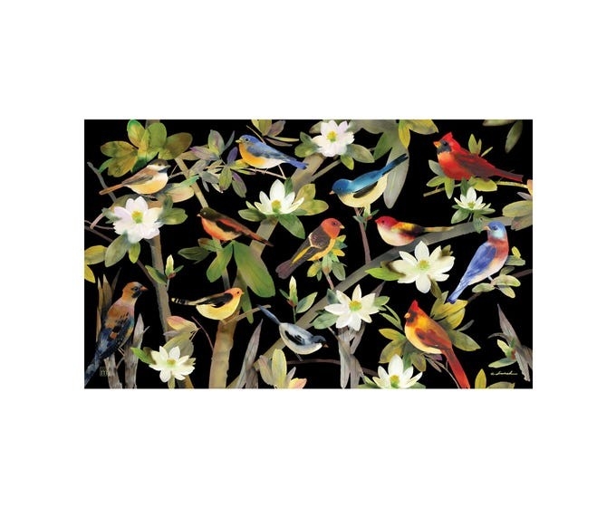 STUDIO M Tapis interchangeable 18X30 po Motif: Oiseaux colorés
