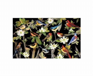 STUDIO M Tapis interchangeable 18X30 po Motif: Oiseaux colorés