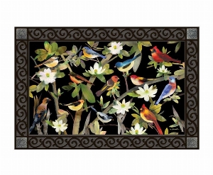 STUDIO M Tapis interchangeable 18X30 po Motif: Oiseaux colorés