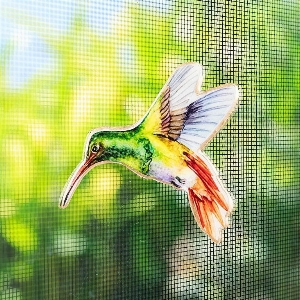 ABBOTT Aimant double face pour moustiquaire Motif: Colibri
