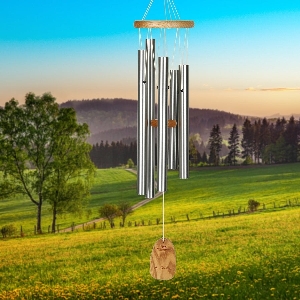WOODSTOCK CH. Carillon de Bach